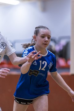 Bild 101 - wBJ TSV Ellerau - SV Fehmarn : Ergebnis: 27:20